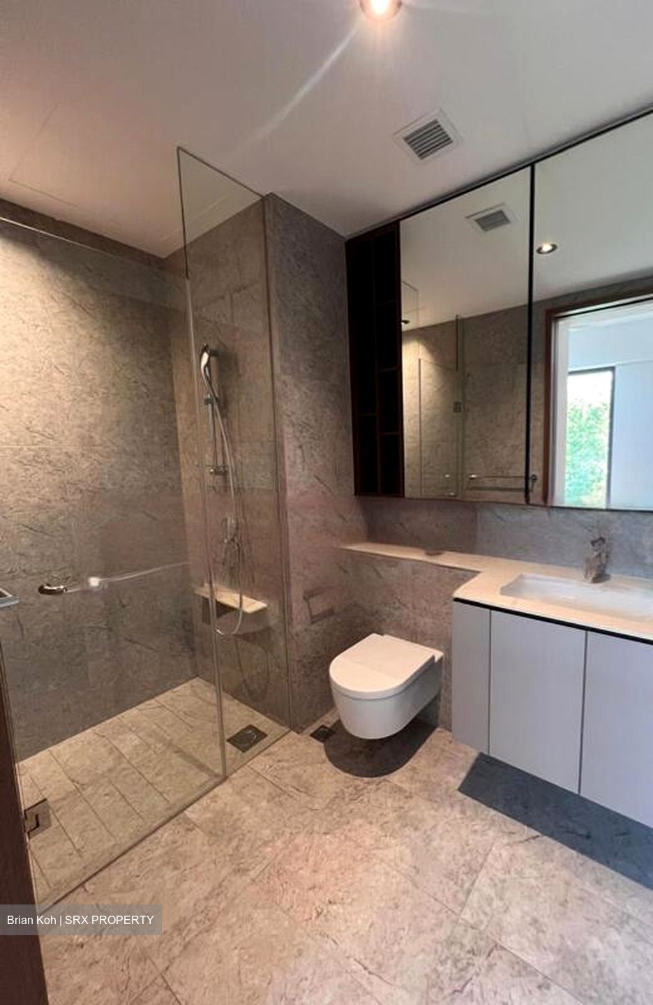 Verdale (D21), Apartment #454620841